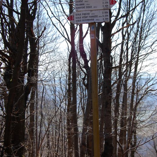 Lackowa - Beskid Niski 997 mnpm