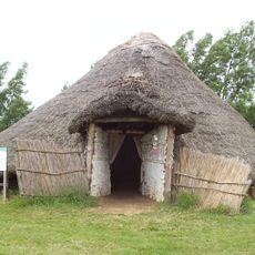 Flag Fen