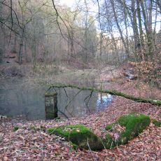 Kadettenweiher
