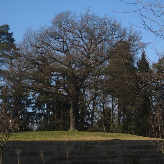 Liberec - Strážní dub