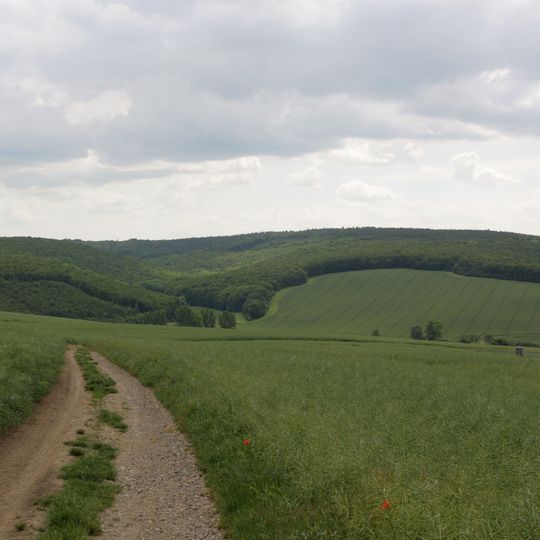 Prírodný park Ždánický les