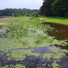 Lake Towhee Park