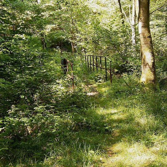 NSG Uelfetal mit Nebentaelern