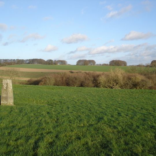 Rotherley Downs