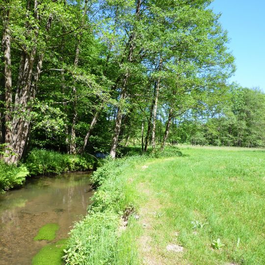 Bayerwaldbäche um Schöllnach und Eging am See