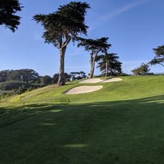 TPC Harding Park