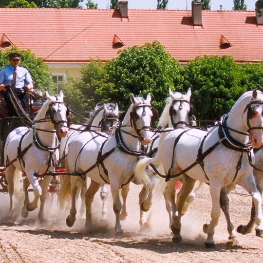 Landschaft für die Zucht und Dressur von zeremoniellen Wagenpferden in Kladruby nad Labem