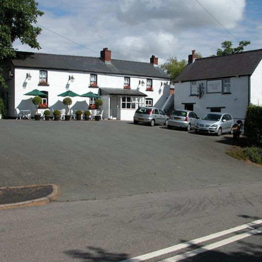 The Walnut Tree