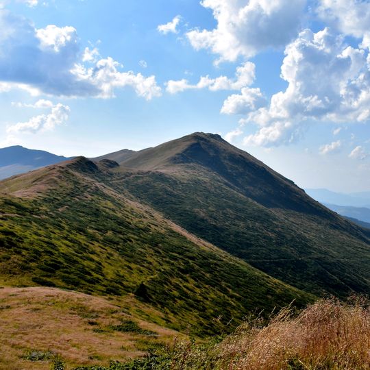 Мартинова чука