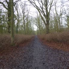 King's Wood, Corby