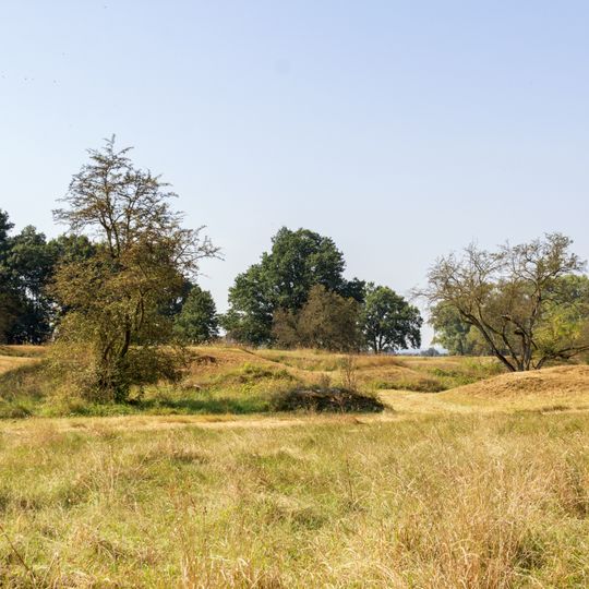 Schweinfurter Becken und nördliches Steigerwaldvorland