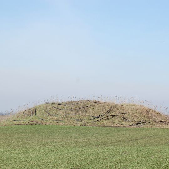 Mohylník Janíky, mohyla I.