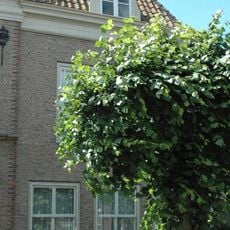 Huis onder schilddak en met lijstgevel, waarin zesdelige schuiframen