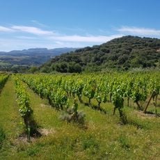 Sierras de Málaga