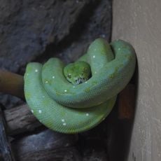 La Ferme des Reptiles