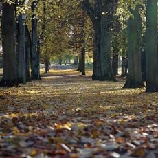 Botaniska trädgården i Skara