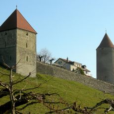 Fortifications (Enceinte, Tour à Boyer, Tour de Billens, Tour du Sauvage, Tour de Fribourg)