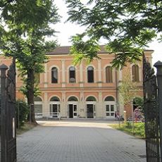 Piazzalunga Cultura Suzzara