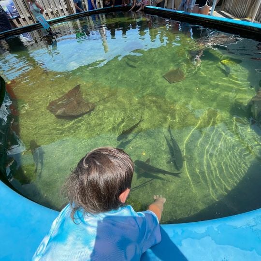 Alabama Aquarium at the Dauphin Island Sea Lab