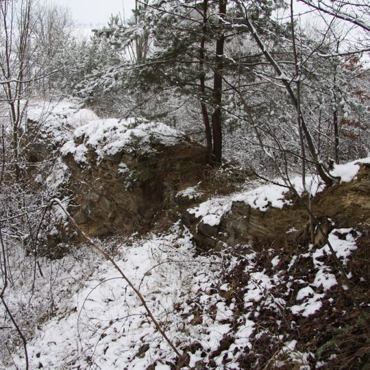 Pastvina u Přešťovic