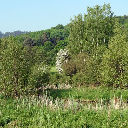 Säulingssee bei Kleinensee