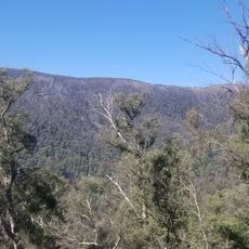 Mount Selwyn