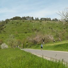 Naturschutzgebiet 'Trockenhänge bei Böttigheim'