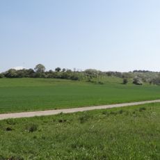 Burg bei Unter-Widdersheim