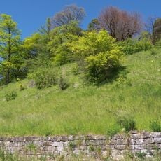 Steppenheide über den Weinbergen