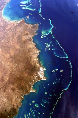 Aerial View 1
