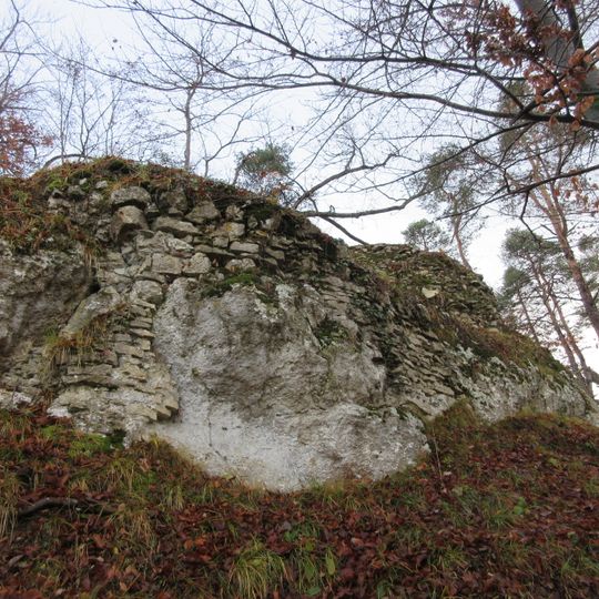 Ruine Hintere Birseck
