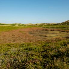 Rantumer Dünen / Sylt