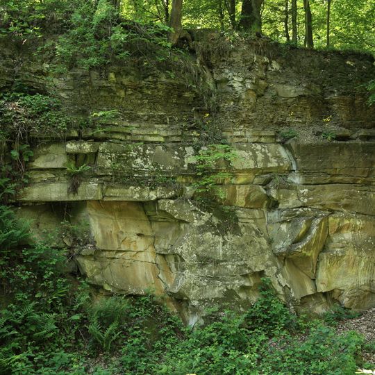 Ehemaliger Sandsteinbruch von Höchberg