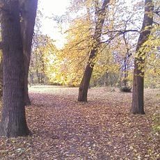 Schreiberov kaštieľ, veľký kaš. , park
