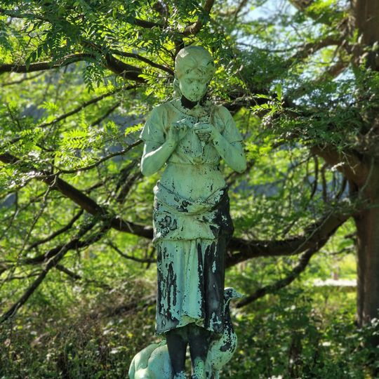 Het ganzenhoedstertje