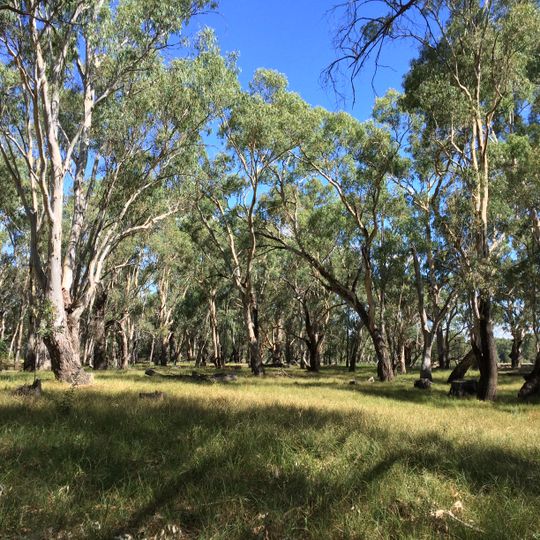 Murrumbidgee Valley National Park