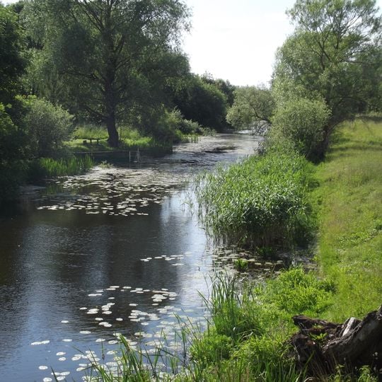 Comune distrettuale di Pakruojis