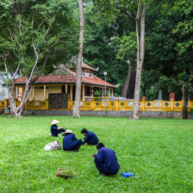 Tao Dan-parken