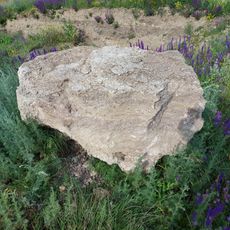 Excavation site near Zaim