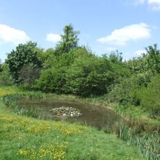 Ali's Pond Local Nature Reserve