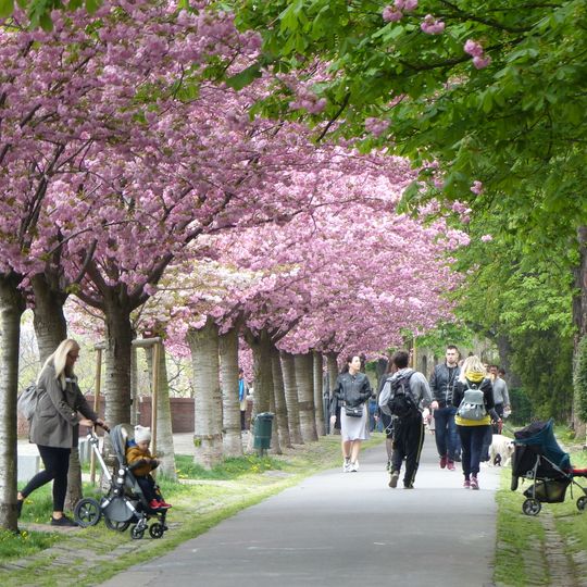 Tóth Árpád sétány, Budapest