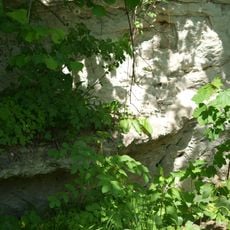 Pleschinger Austernbank