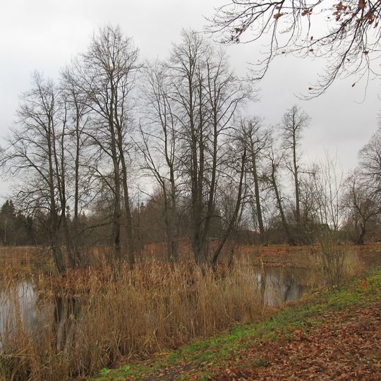 Парк с прудом