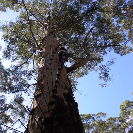 Parc national Gloucester