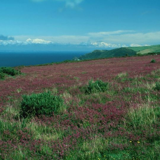 Parque nacional de Exmoor