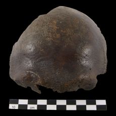 Schädel von Hahnöfersand