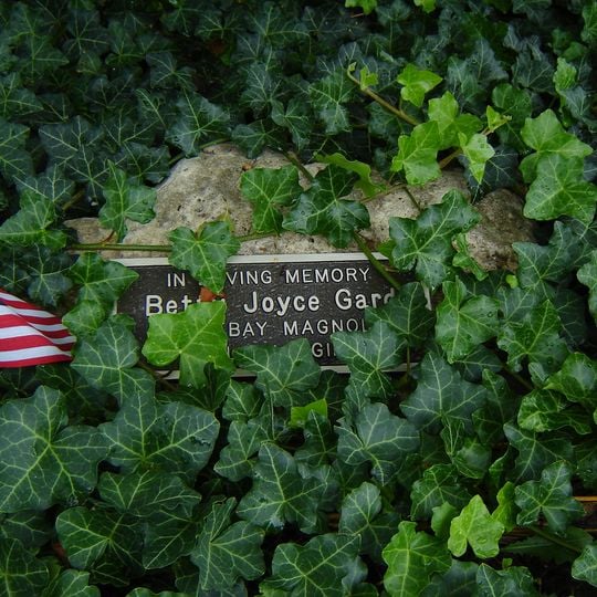 Jardín botánico conmemorativo de George L. Luthy