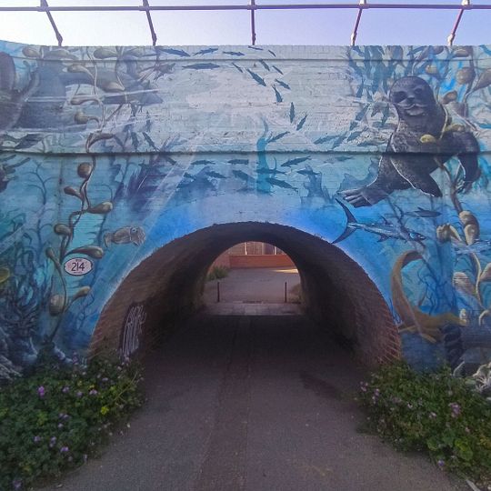 Spray painting of underwater sea-life.