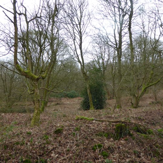 Badby Wood