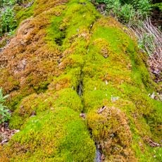 Steinerne Rinne bei Thalheim